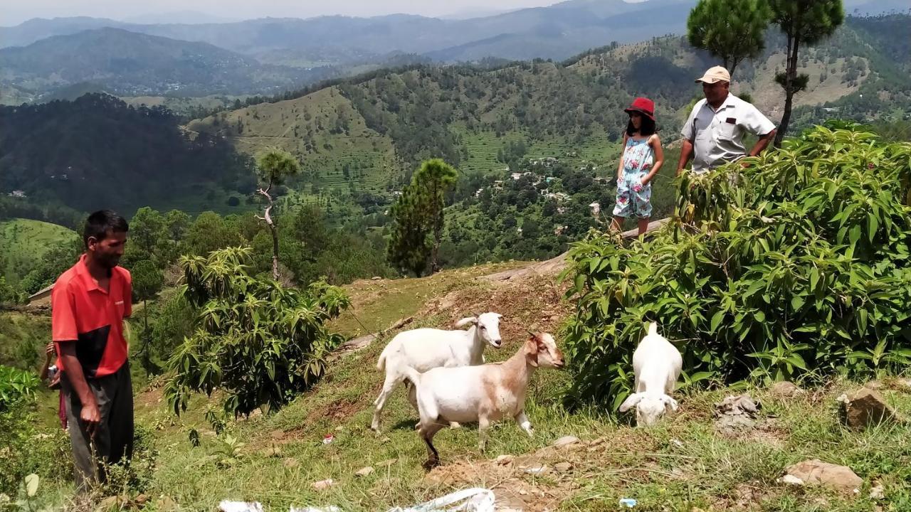 Dwarahat Village Farmstay- Babaji'S Cave Buitenkant foto