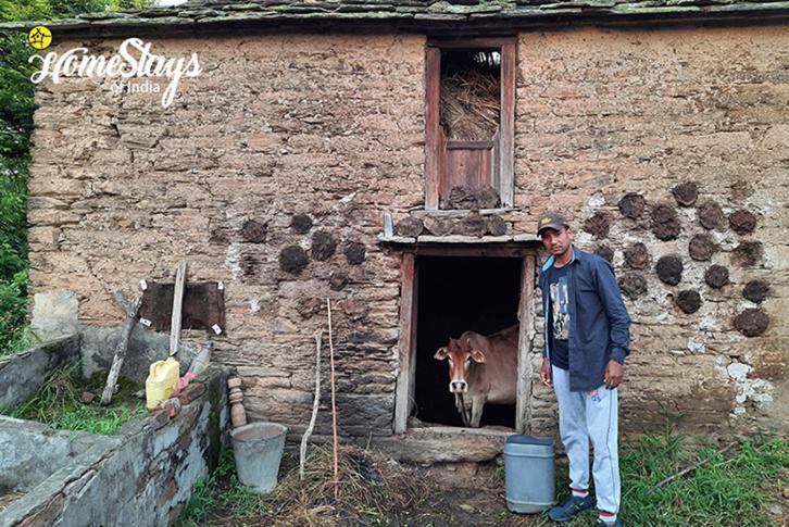 Dwarahat Village Farmstay- Babaji'S Cave Buitenkant foto