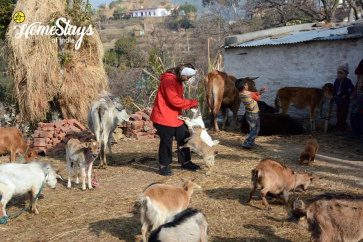 Dwarahat Village Farmstay- Babaji'S Cave Buitenkant foto