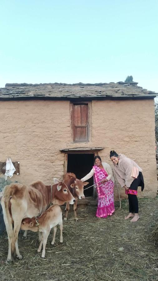 Dwarahat Village Farmstay- Babaji'S Cave Buitenkant foto